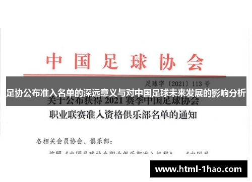 足协公布准入名单的深远意义与对中国足球未来发展的影响分析