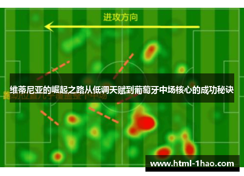 维蒂尼亚的崛起之路从低调天赋到葡萄牙中场核心的成功秘诀