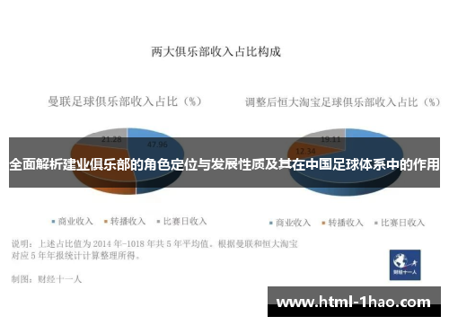 全面解析建业俱乐部的角色定位与发展性质及其在中国足球体系中的作用