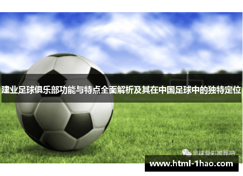 建业足球俱乐部功能与特点全面解析及其在中国足球中的独特定位