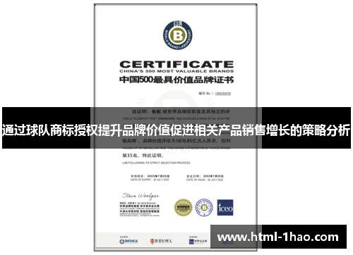 通过球队商标授权提升品牌价值促进相关产品销售增长的策略分析 通过球队商标授权提升品牌价值促进相关产品销售增长的策略分析
