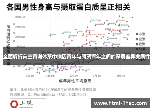 全面解析荷兰青训体系中埃因青年与阿贾青年之间的深层差异发展性 全面解析荷兰青训体系中埃因青年与阿贾青年之间的深层差异发展性