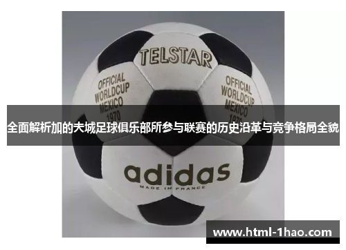 全面解析加的夫城足球俱乐部所参与联赛的历史沿革与竞争格局全貌 全面解析加的夫城足球俱乐部所参与联赛的历史沿革与竞争格局全貌