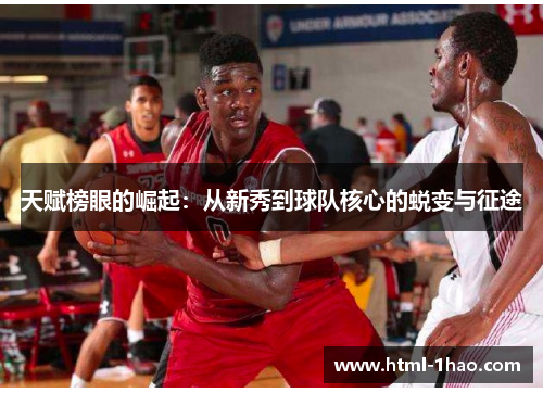 天赋榜眼的崛起：从新秀到球队核心的蜕变与征途
