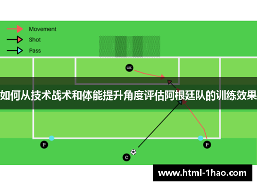 如何从技术战术和体能提升角度评估阿根廷队的训练效果