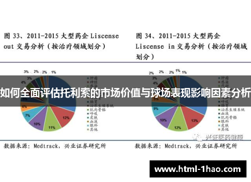 如何全面评估托利索的市场价值与球场表现影响因素分析 如何全面评估托利索的市场价值与球场表现影响因素分析
