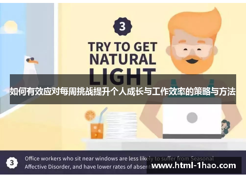 如何有效应对每周挑战提升个人成长与工作效率的策略与方法