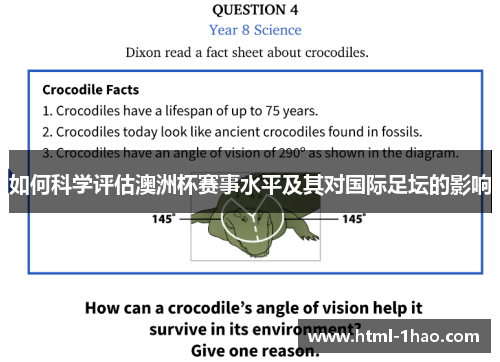 如何科学评估澳洲杯赛事水平及其对国际足坛的影响