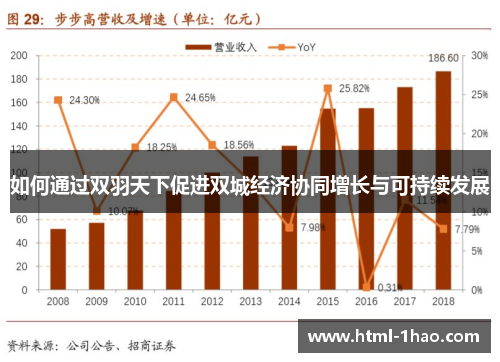 如何通过双羽天下促进双城经济协同增长与可持续发展
